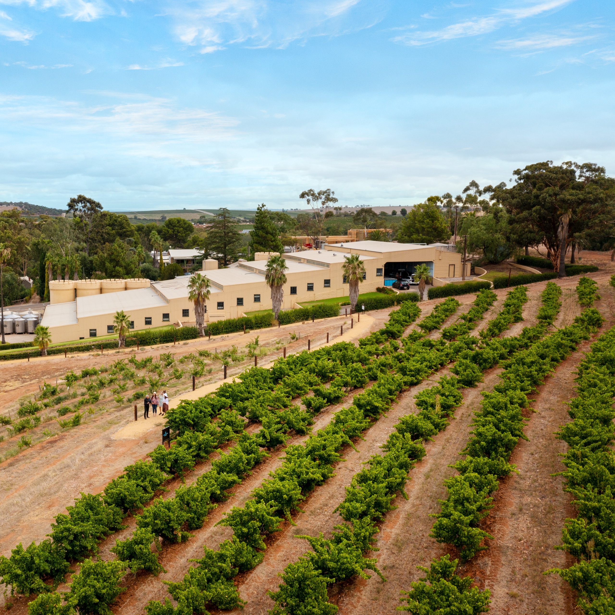 Seppeltsfield With a proud and priceless legacy dating back to 1851, Seppeltsfield is Australia's iconic wine estate. Seppeltsfield is famed for the Centennial Collection - an irreplaceable and unbroken lineage of Tawny of every vintage from 1878 to current year.